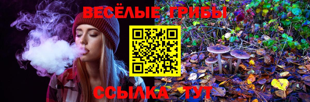 Псилоцибиновые грибы MAGIC MUSHROOMS Изобильный