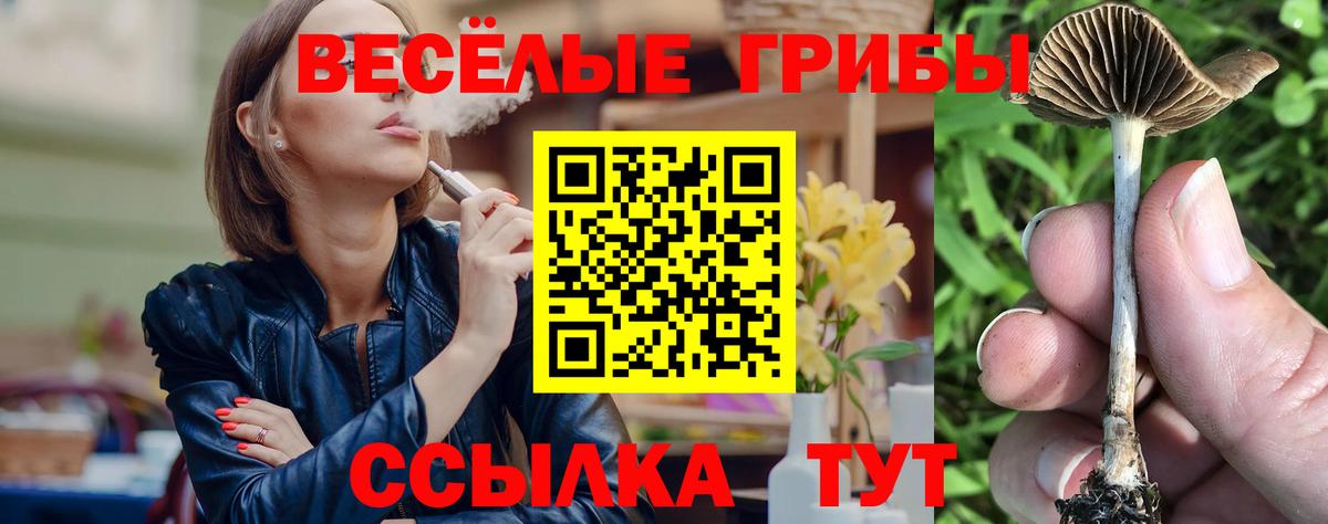 Изобильный  Псилоцибиновые грибы MAGIC MUSHROOMS  Галлюциногенные грибы Psilocybe  Вход с VPN 